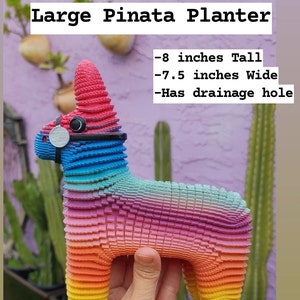 ORIGINELE Piñata plantenbakken van Seelene Succulents © Verkrijgbaar in 3 verschillende maten Large 8 inches