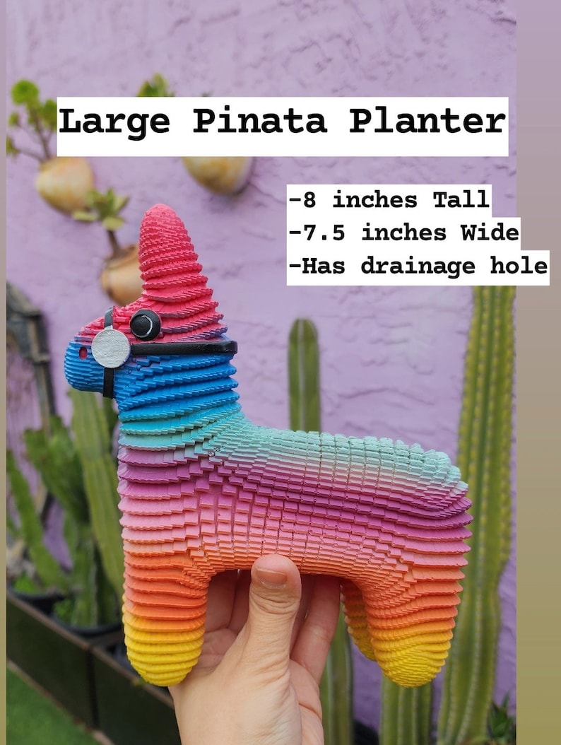 Jardinières Piñata ORIGINALES par Seelene Succulents © Disponibles en 3 tailles différentes Large 8 inches