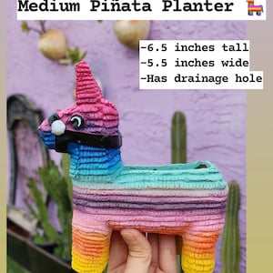 Jardinières Piñata ORIGINALES par Seelene Succulents © Disponibles en 3 tailles différentes Medium 6.5 inches