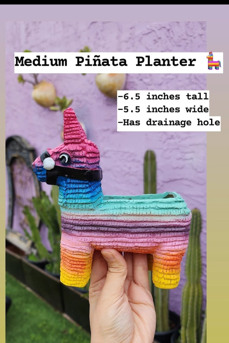 Jardinières Piñata ORIGINALES par Seelene Succulents © Disponibles en 3 tailles différentes Medium 6.5 inches