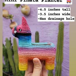 Jardinières Piñata ORIGINALES par Seelene Succulents © Disponibles en 3 tailles différentes Mini 4.5 inch