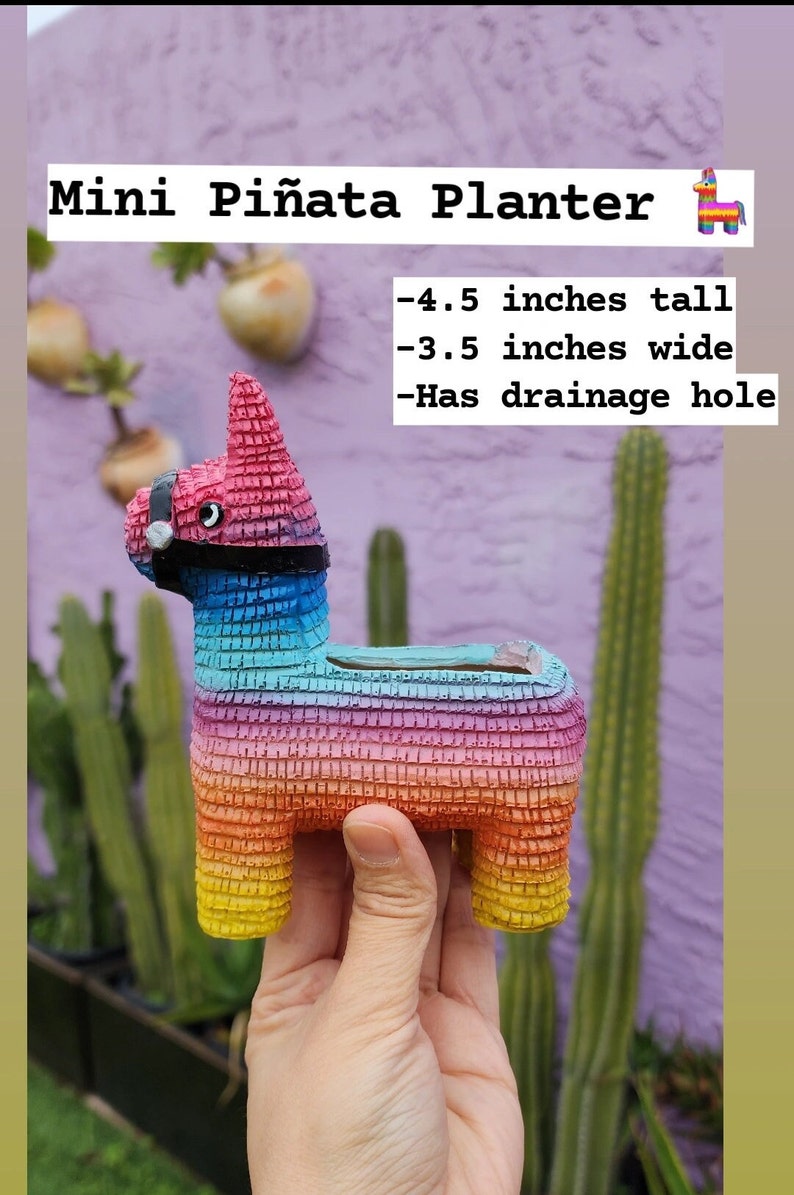 ORIGINELE Piñata plantenbakken van Seelene Succulents © Verkrijgbaar in 3 verschillende maten Mini 4.5 inch