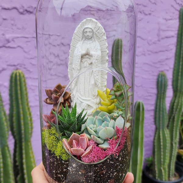 DIY Glass Terrarium with Virgin and succulents