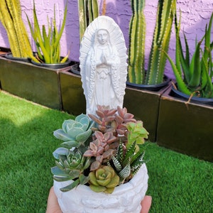 8 Inch  Virgencita Planter DIY