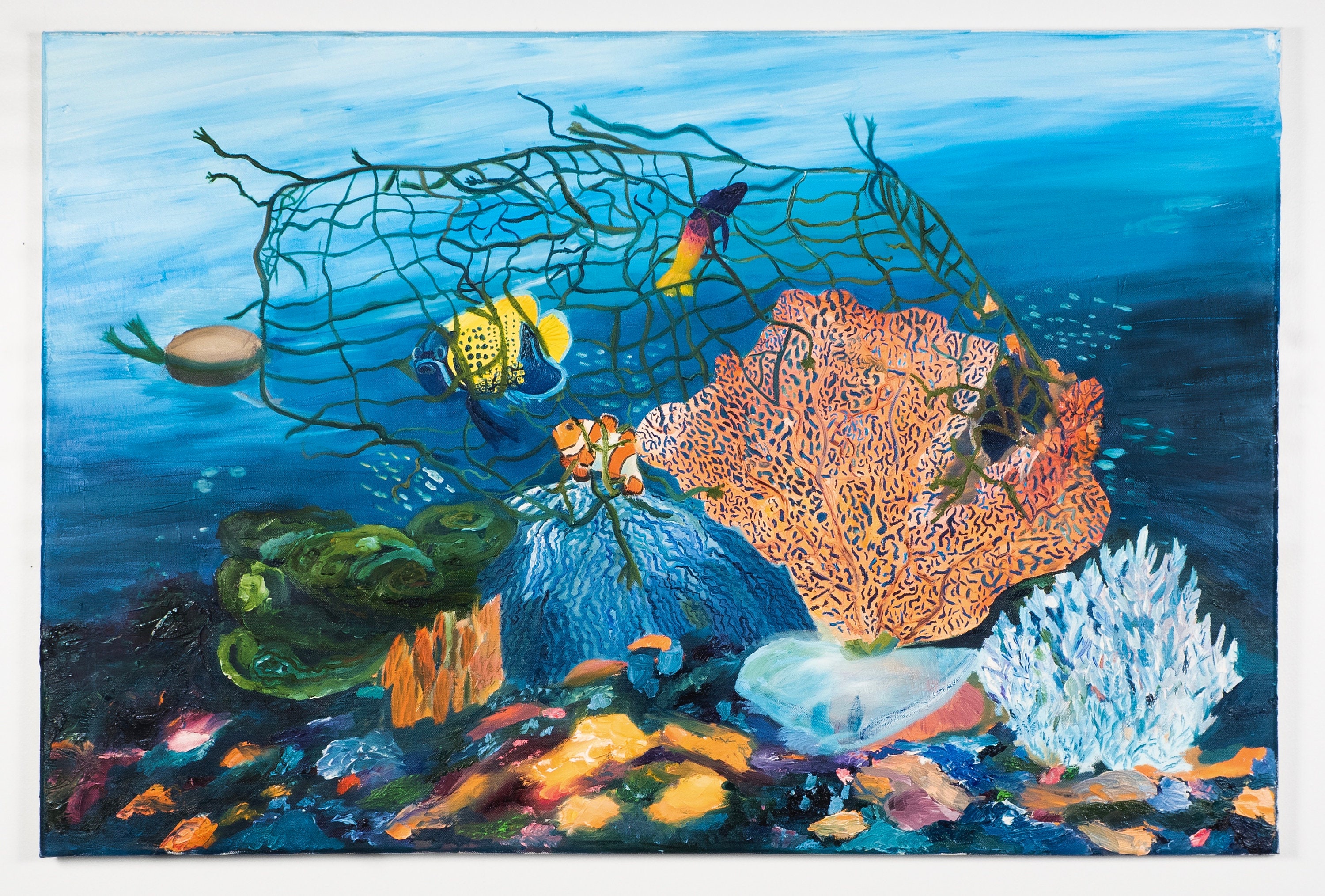 I Spent A Day With A Coral Reef Onlyfans Creator - xq2cwvw