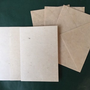 Juego de tarjetas con sobre Lokta Nature, sin imprimir, para diseñar usted mismo, por ejemplo, cianotipia, pintura, álbum de recortes