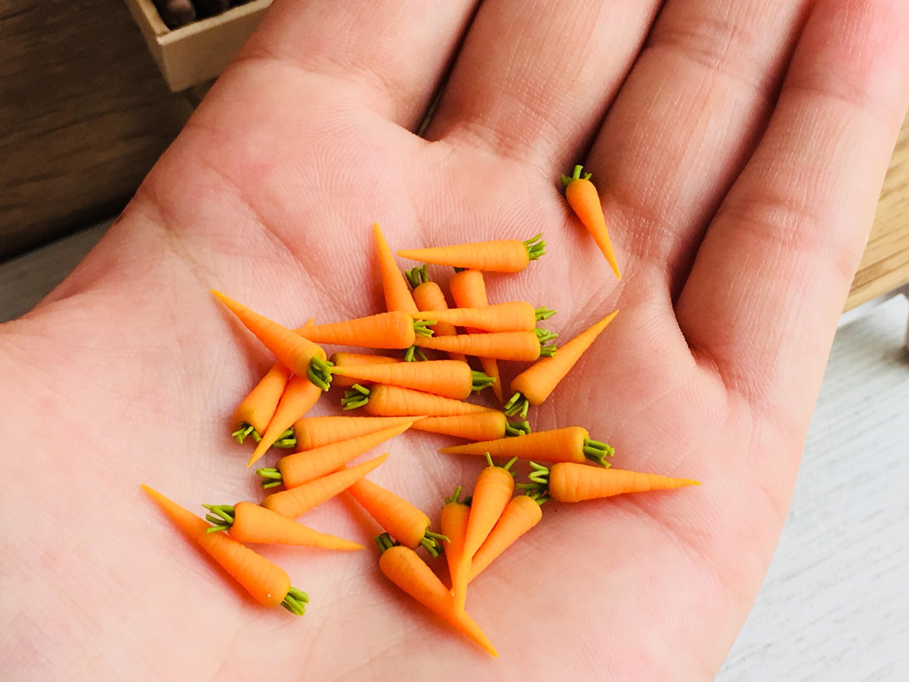 Miniature carrots for dolls for a dollhouse. Scale 1/12 and Etsy