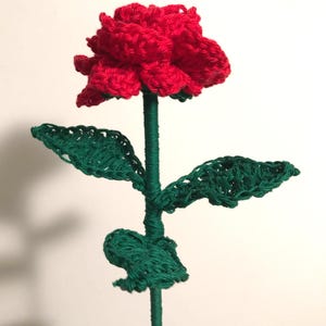 Rose crochet in cotton, wool, acrylic yarn in different colors.