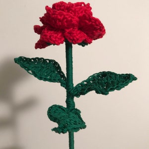Rose crochet in cotton, wool, acrylic yarn and in different colors.