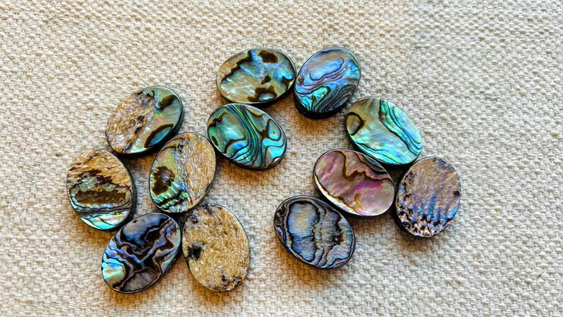Shell Paua Rainbow Color 18x13mm Cuentas ovaladas planas de concha de Paua imagen 0