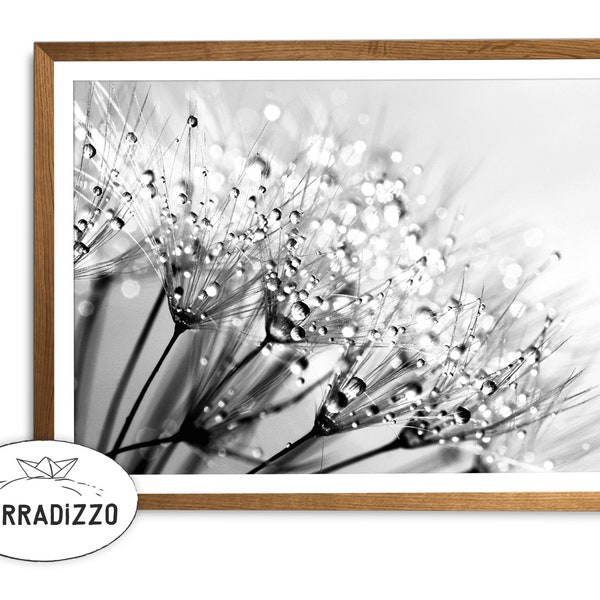 Dandelion Black And White Photography Print, Living Room Botanic Wall Decor, Floral Printable Wall Art, Digital Download, Close Up Dandelion