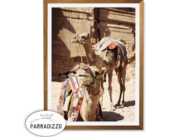 Boho Camel Digital Print: Desert Animal Wall Art (Instant Download)