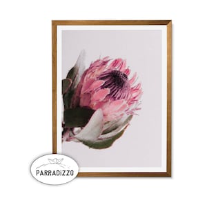 Pink Protea Digital Painting Print, Pastel Australian Flower Wall Art, Modern Botanical Living Room Downloadable Decor