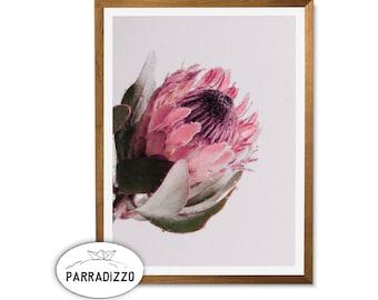 Pink Protea Digital Painting Print, Pastel Australian Flower Wall Art, Modern Botanical Living Room Downloadable Decor