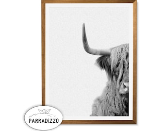 Black White Highland Cow Digital Print, Animal Printable Photography Wall Art Instant Download, Texture Background Farm Animal Wall Decor