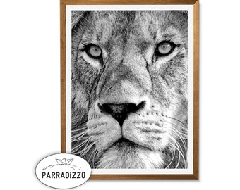 May include: A black and white close-up photograph of a lion's face. The lion's eyes are wide open and staring directly at the camera. The image is framed in a wooden frame.