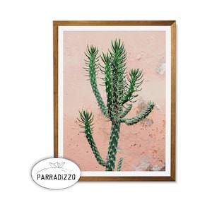 Pastel Pink Cactus Wall Art: Desert Photography (Digital Download)