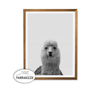 Zwart-wit Lama Digitale Print, Animal Nursery Wall Decor Instant Download, Lama Wall Art Getextureerde Achtergrond, Peekaboo Animal Alpaca
