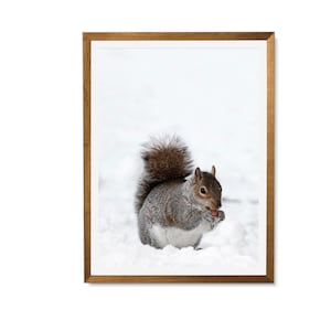 Winter Photography Wall Art, Squirrel Snow Christmas Decor, Woodland Animal Print, Holiday Decoration Gallery Wall, Nursery Wall Art