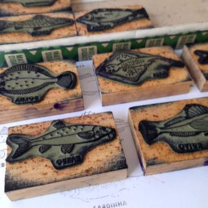 Vintage Complete School Box with Eight (8)  Rubber Stamps of Scientific Fish Drawings with Subtitles. Vintage Collectible School Stamps.