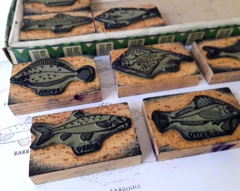 Vintage Complete School Box with Eight (8)  Rubber Stamps of Scientific Fish Drawings with Subtitles. Vintage Collectible School Stamps.