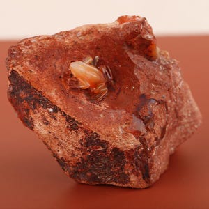 Puede incluir: Una rana de piedra preciosa tallada de color marrón anaranjado descansa sobre una piedra de color marrón rojizo. La rana está detallada con patas y ojos visibles. La piedra tiene una superficie rugosa y texturizada.