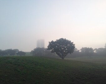 Sydney Park Morning Mist in Winter