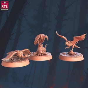 Vulture Miniatyrset: 3D-printad harts, RPG DnD 5e