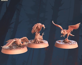 Vulture Miniature Set: 3D Printed Resin, RPG DnD 5e