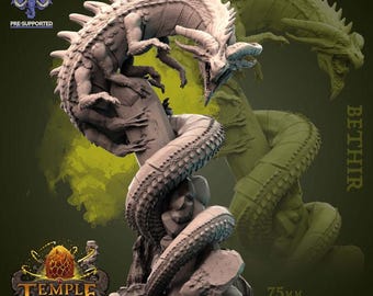 Bethir |  D&D 5e | Dungeons and Dragons | Fantasy | RPG | Tabletop Games | Monster | 28mm | Resin | Mammoth Factory