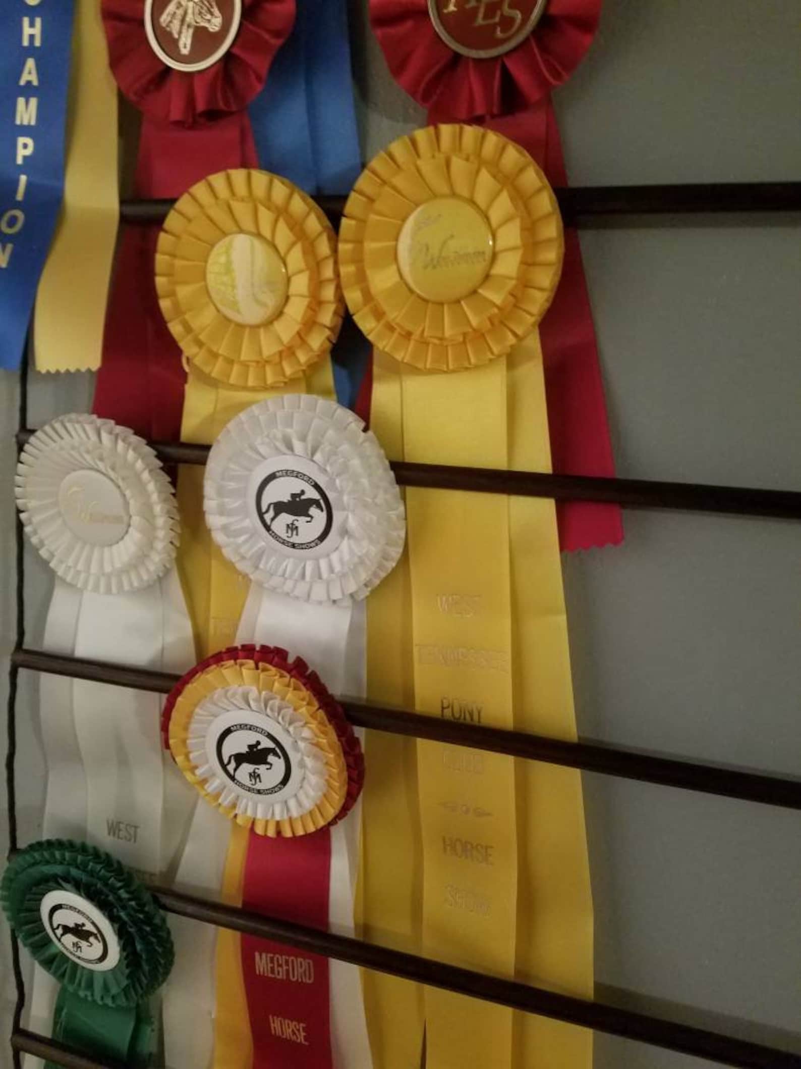 Horse Show Award Ribbon Display holds 85 ribbons Etsy