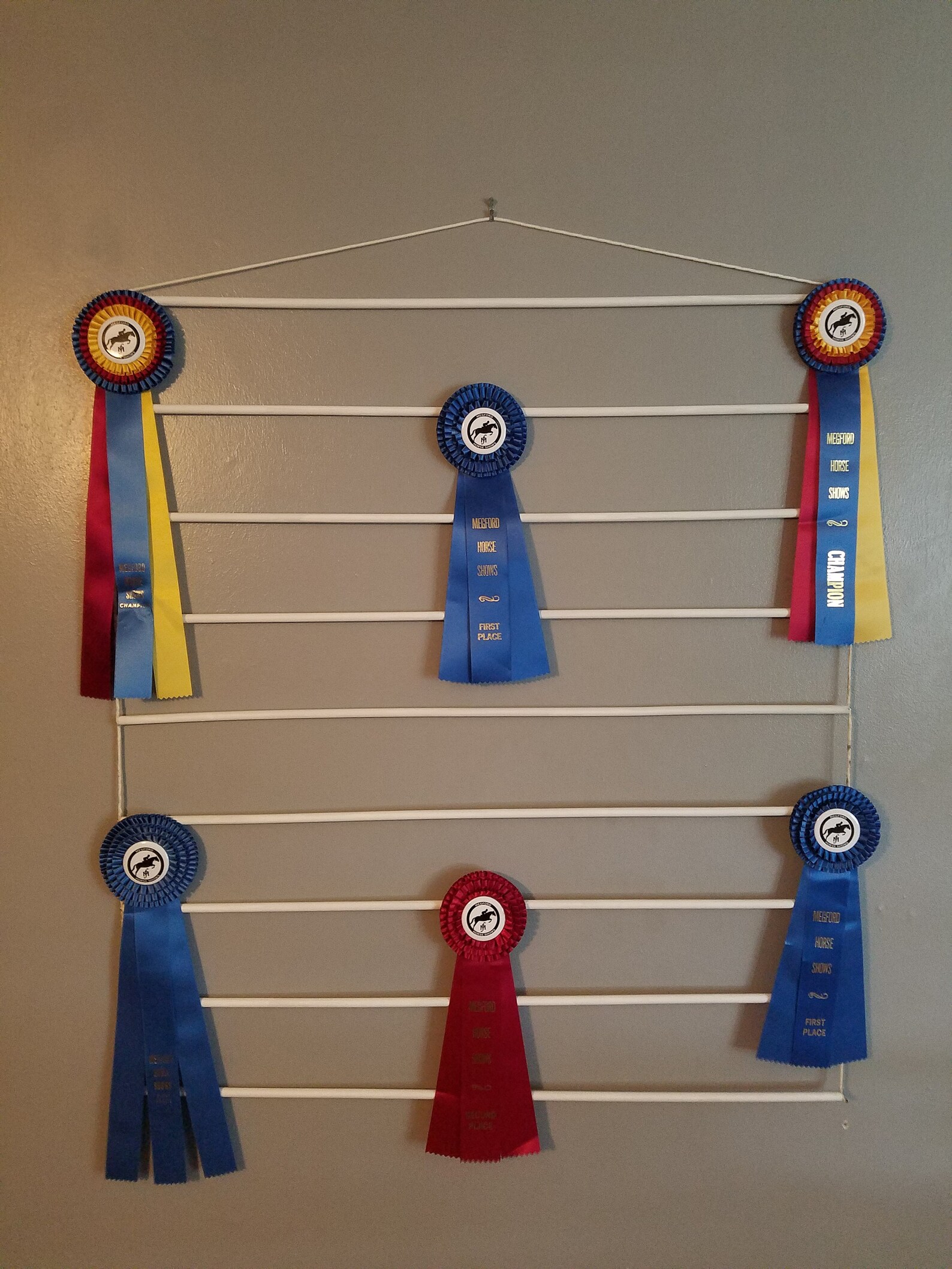Dog show award ribbon holder display AKC CKC dog puppy Etsy