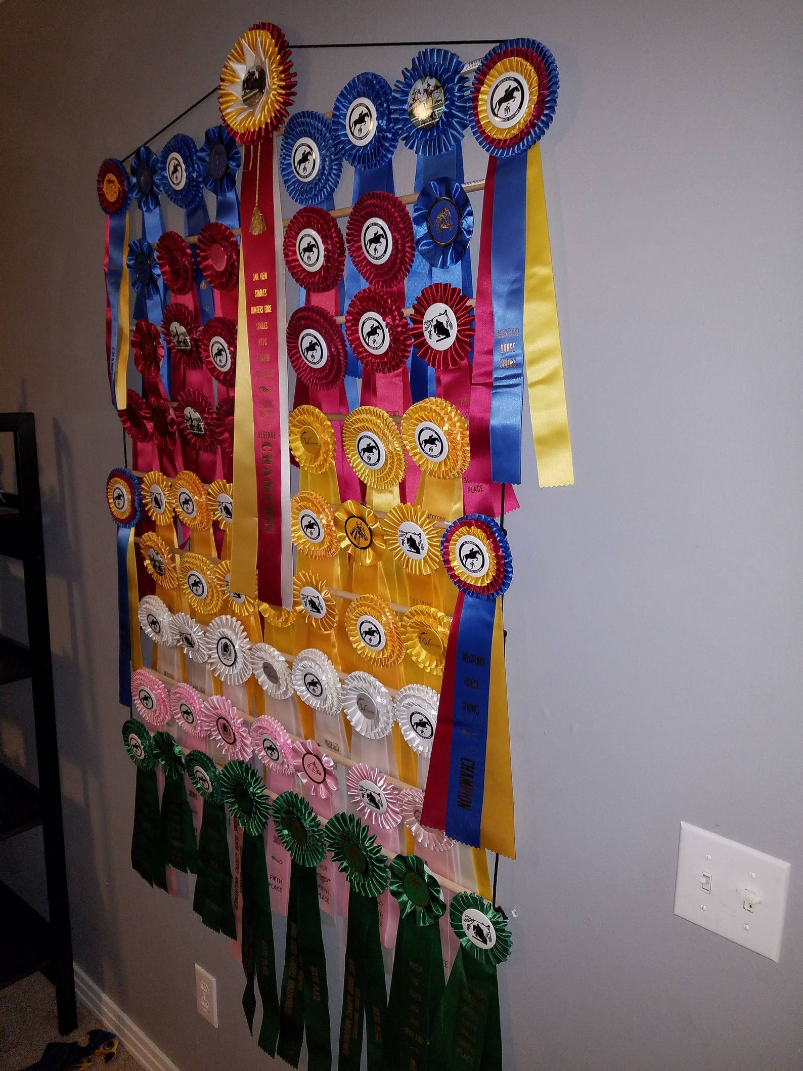 Dog show award ribbon holder display AKC CKC dog puppy Etsy