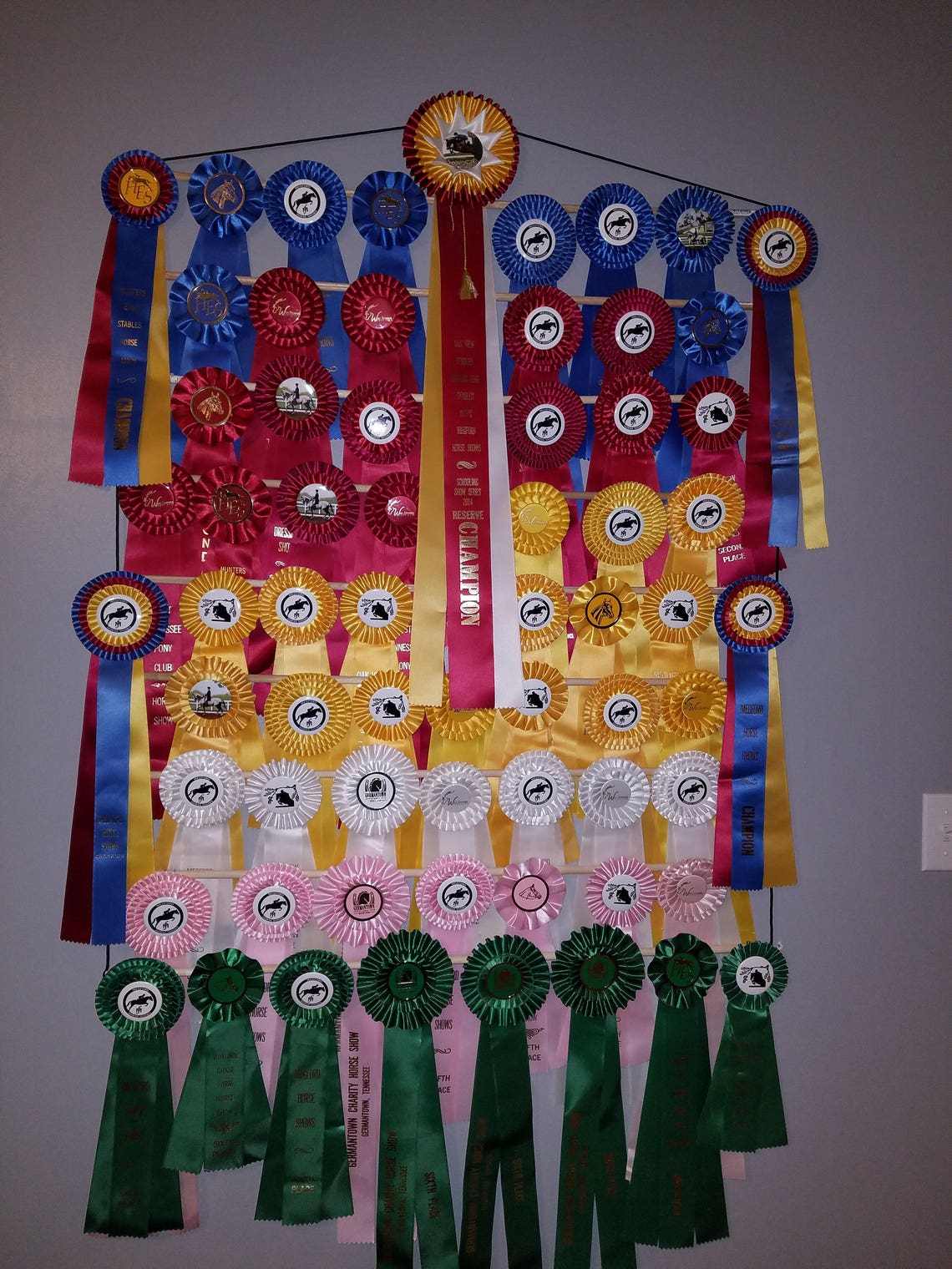 Dog show award ribbon holder display AKC CKC dog puppy Etsy