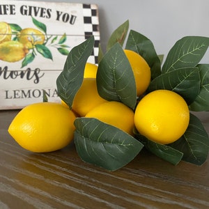 Mini Wreath Kit, Lemon Welcome Wreath, When Life Gives You Lemons, Farmhouse Wreath Inside, Fruit Wreath image 4