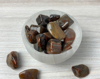 Petrified Wood Tumbled Stone, Crystals, Fossil Wood, Pocket Stone, Healing Crystals and Stones, Minerals and Crystals, Fossilized Wood