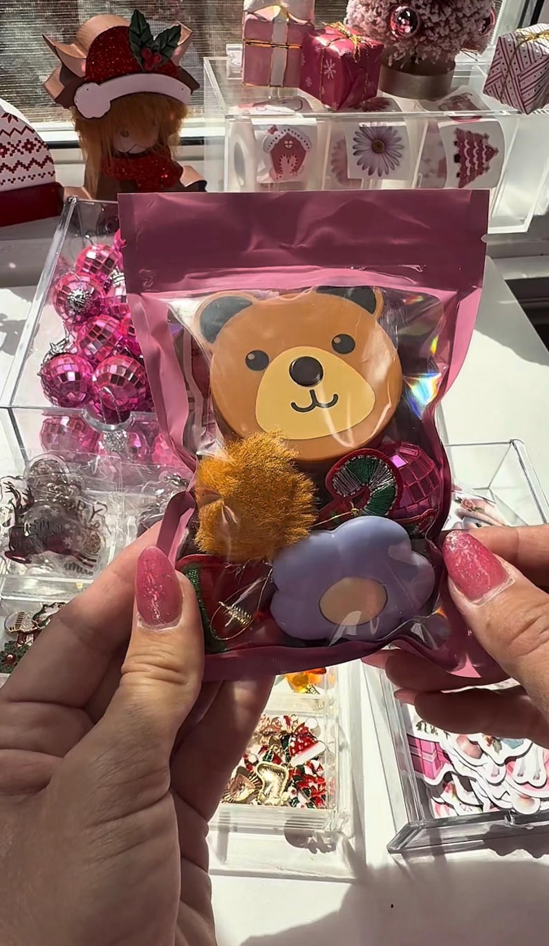 May include: A pink cellophane bag containing various decorative items. Inside are a bear-shaped ornament, a fluffy orange pom-pom, a purple flower-shaped item, and a pink, green, and silver ornament. Other items are visible in the background.