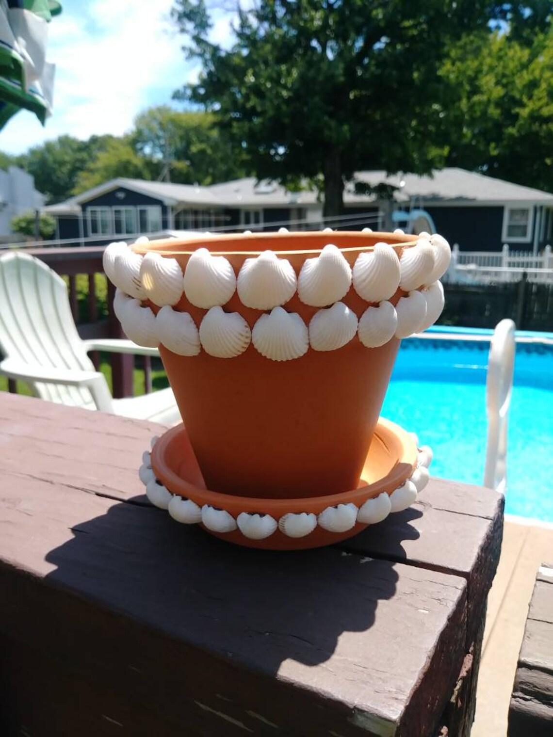 Seashell Terracotta Planter Etsy