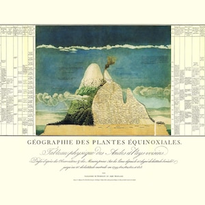 Naturgemalde Unity of Nature Alexander Von Humboldt Canvas Print