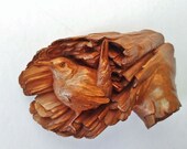 Bird WOOD CARVING, Wall Wood Sculpture, Tree Spirit, Rustic Decor