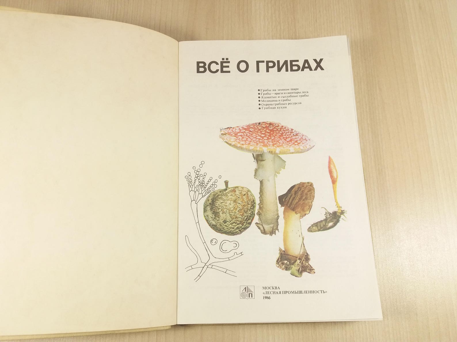 Mushroom illustration botanical book All about mushrooms Etsy