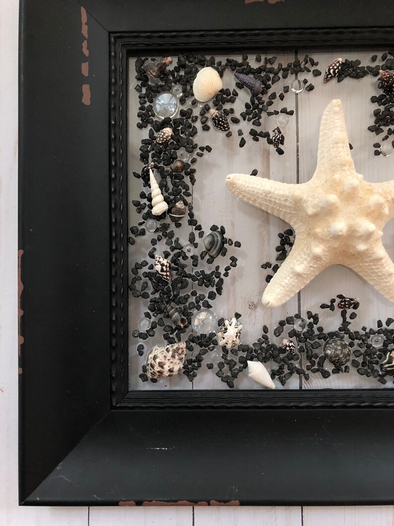 B&W SeashellStarfish Window or Wall Art framed in Black. Etsy