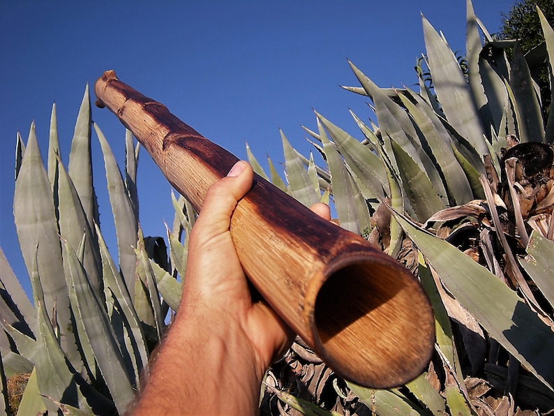 DIDGERIDOO Agave Wood Etsy