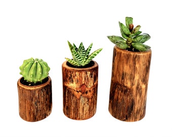 PLANT-POT