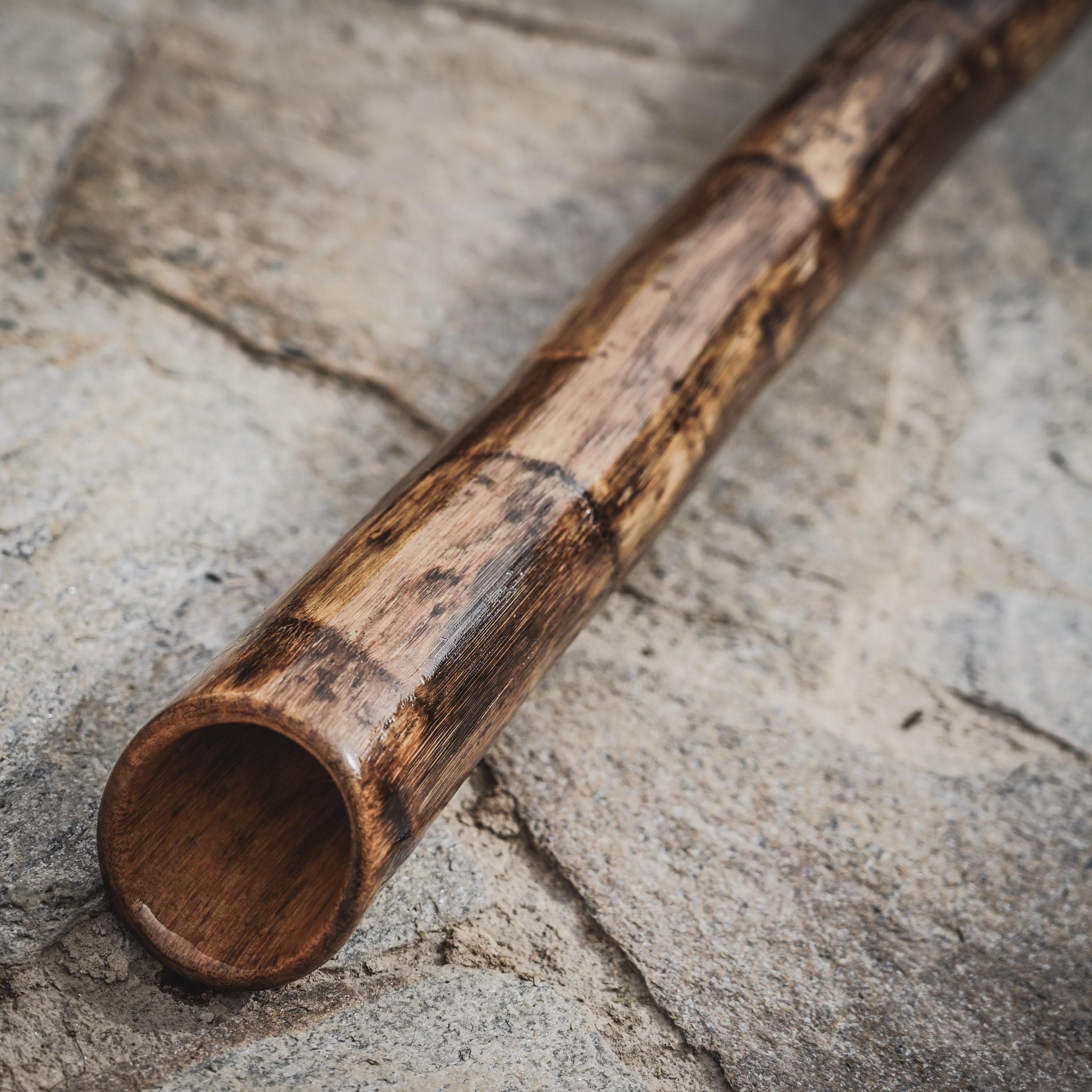 Handcrafted AGAVE DIDGERIDOO - Sustainable & Light Weight - Etsy