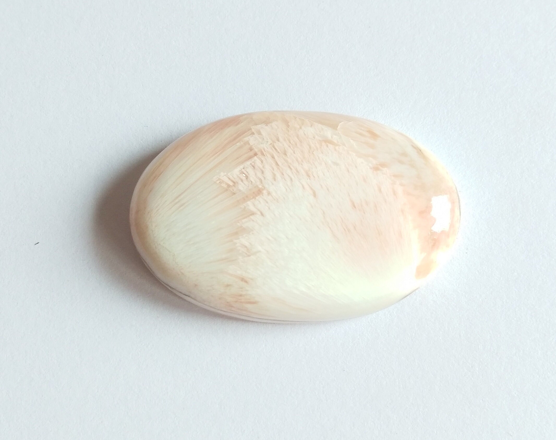 kambaba jasper stone kambaba jasper stone