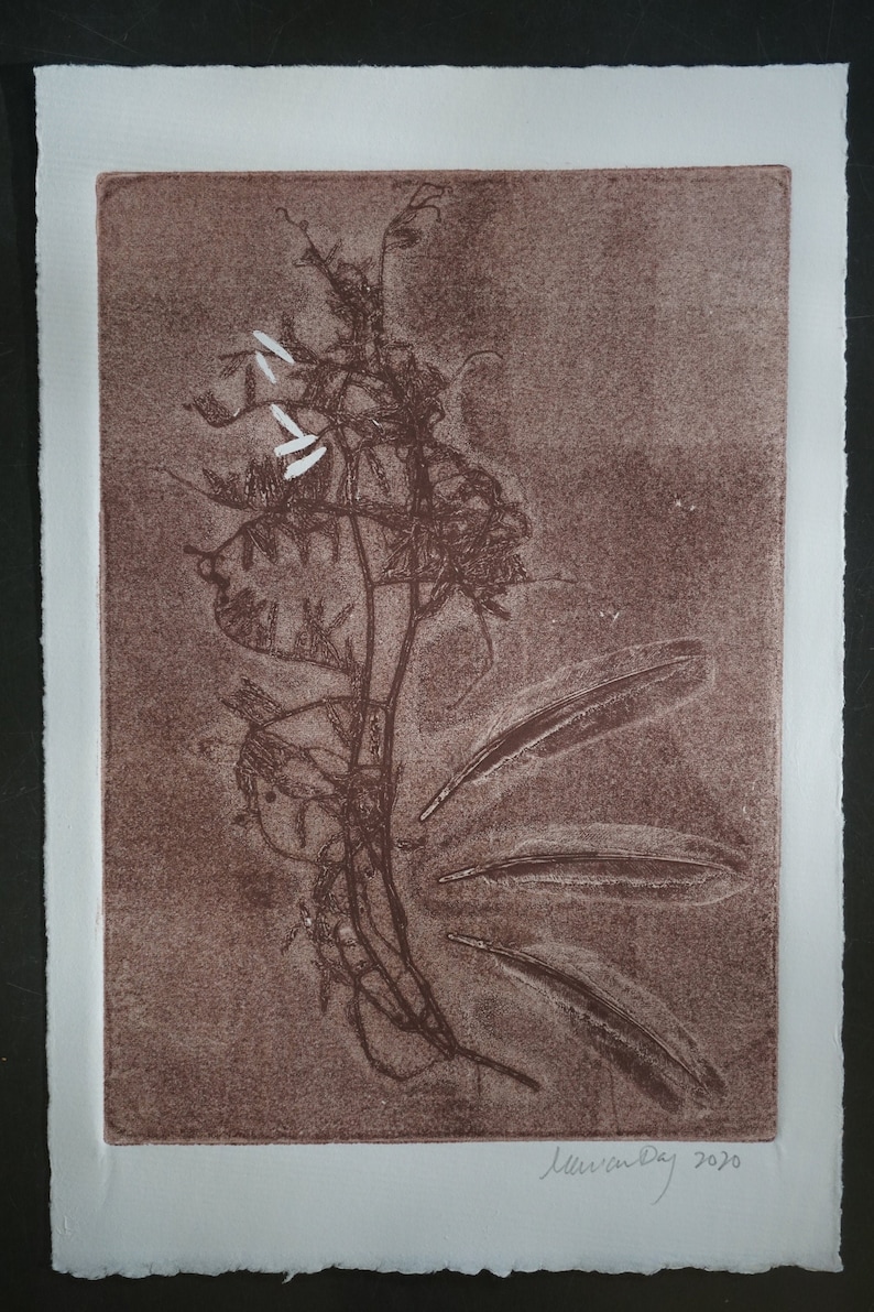 Feather Vetch II
