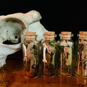 Pacific Northwest Witch Bottle
