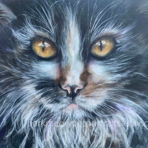 Custom cat painting print, acrylic hand painting, gift for cat lover, art print, tuxedo cat artwork, acrylic prints, love tuxedo cats art