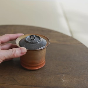 Handmade Earthy Spiral Gaiwan